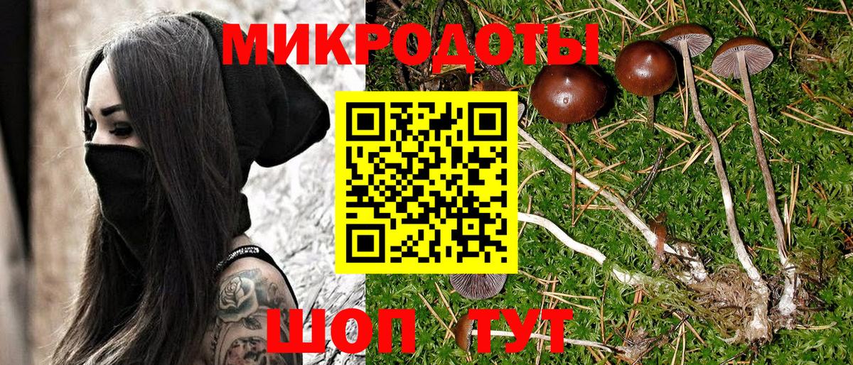 Галлюциногенные грибы GOLDEN TEACHER Ртищево