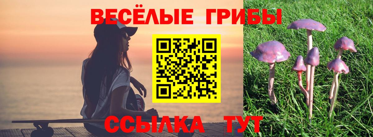 Псилоцибиновые грибы мицелий  Вход с VPN  Ртищево  Галлюциногенные грибы ЛСД 